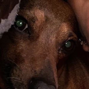 Meet your Posher, Jatiah